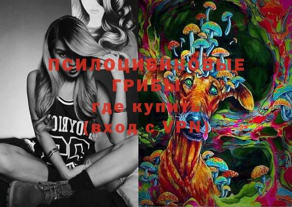 дурь Нефтекумск