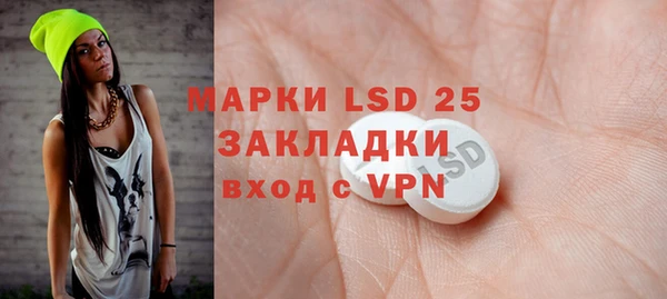 ешки Новодвинск