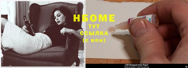 ешки Новодвинск