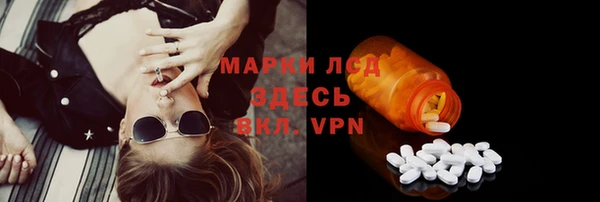 крисы Новокубанск