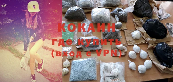 ешки Новодвинск