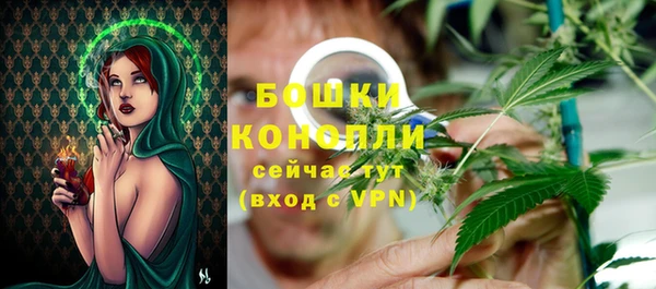 ешки Новодвинск