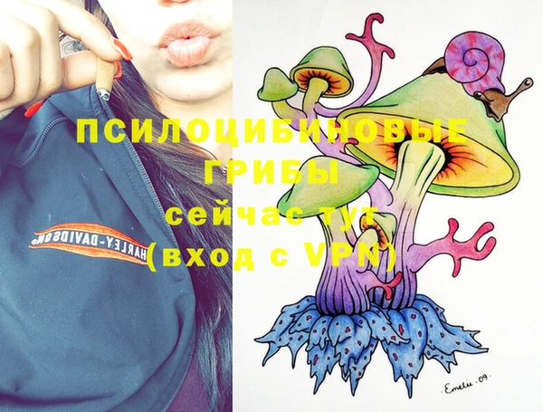 ешки Новодвинск