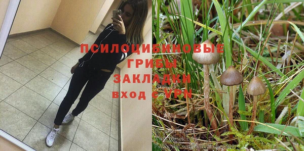 крисы Новокубанск