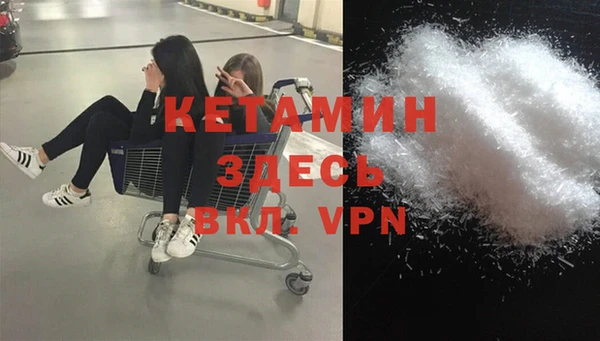 ешки Новодвинск