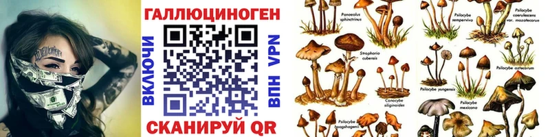 Псилоцибиновые грибы Magic Shrooms гидра ССЫЛКА Фатеж сколько стоит